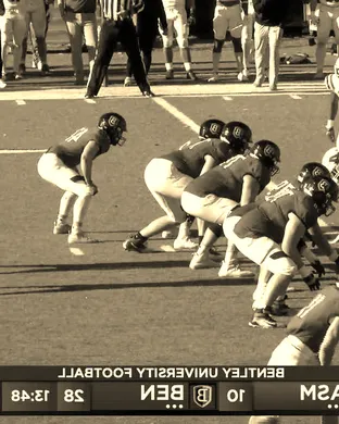 Assumption College Greyhounds Worcester