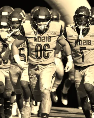 Bucknell Bison Worcester