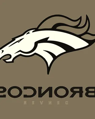 Denver Broncos Foxborough