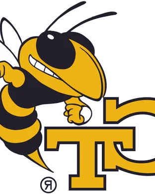Georgia Tech Yellow Jackets Football Atlanta