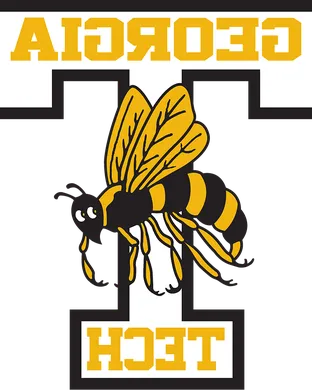 Georgia Tech Yellow Jackets Atlanta
