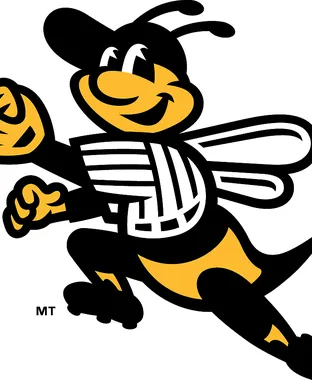 New Britain Bees Nashua