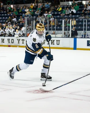 Notre Dame Fighting Irish Hockey South Bend