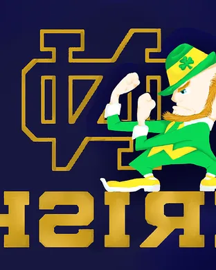 Notre Dame Fighting Irish Foxborough