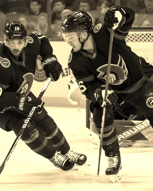Ottawa Senators Ottawa