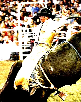 PBR - Professional Bull Riders