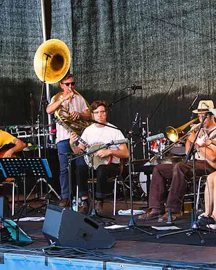 Tuba Skinny Nashua