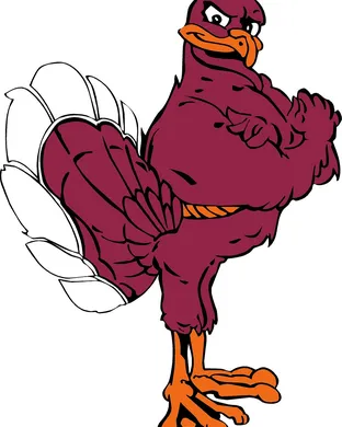 Virginia Tech Hokies Chestnut Hill