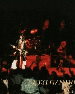 Wasp Boston