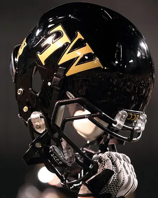 Wake Forest Demon Deacons Winston Salem