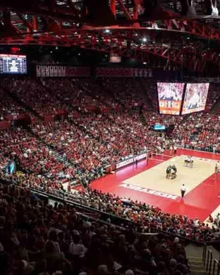 UConn Huskies Volleyball vs. New Hampshire Wildcats