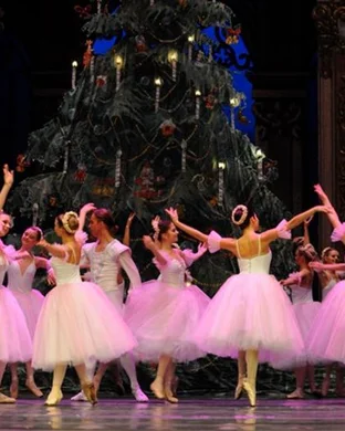 Ballet X Cambridge